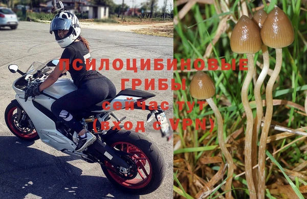 тгк Абдулино
