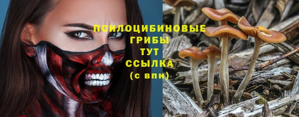 тгк Абдулино