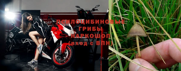 тгк Абдулино