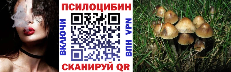 купить наркотики цена Абдулино Псилоцибиновые грибы прущие грибы