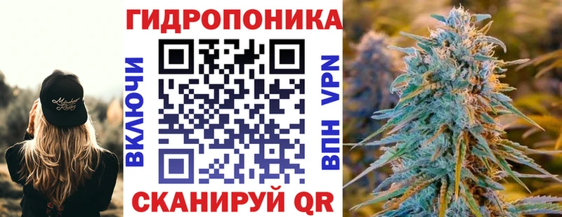 Канабис семена  наркотики  mega   Абдулино 